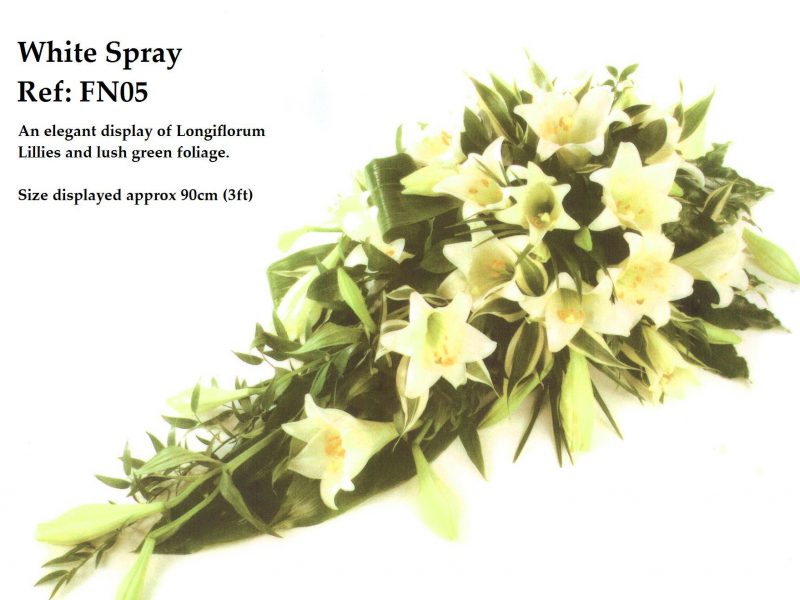 White Spray Ref: FN05