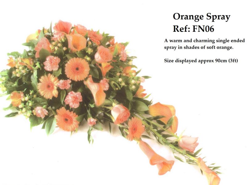Orange Spray Ref: FN06